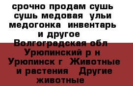 срочно продам сушь, сушь медовая, ульи, медогонка, инвентарь  и другое. - Волгоградская обл., Урюпинский р-н, Урюпинск г. Животные и растения » Другие животные   